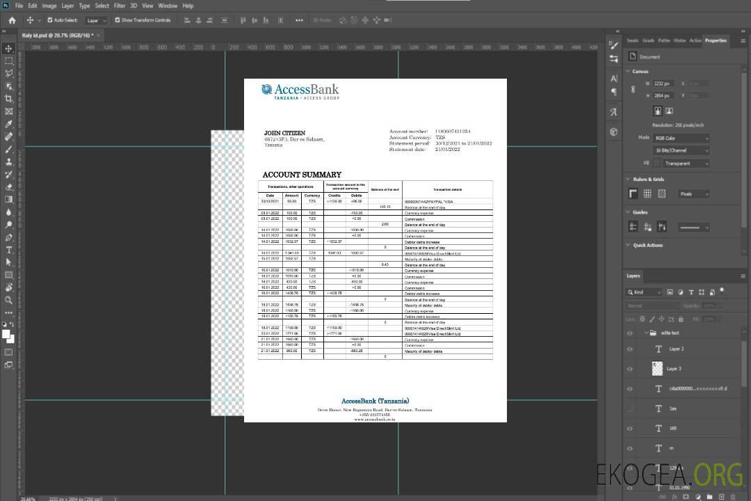 Déclaration de la Tanzanie Access Bank template Déclaration de la Tanzanie Access Bank template